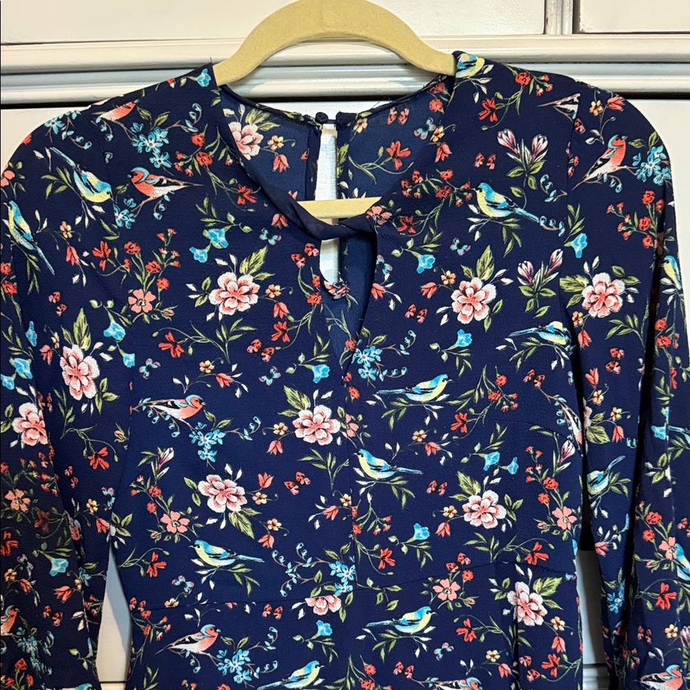I.Madeline Blue little bird & Floral Dress